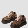 Buzz 5-Eye Leopard Shoes