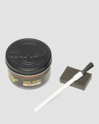 Gold Shoe Paint