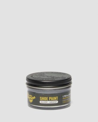 Silver Shoe Paint