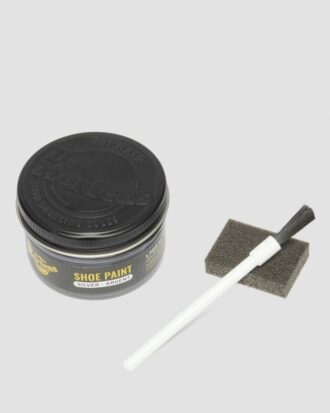 Silver Shoe Paint